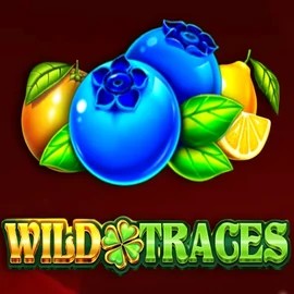 Wild Traces slot logo by Amusnet Interactive at Arena Casino
